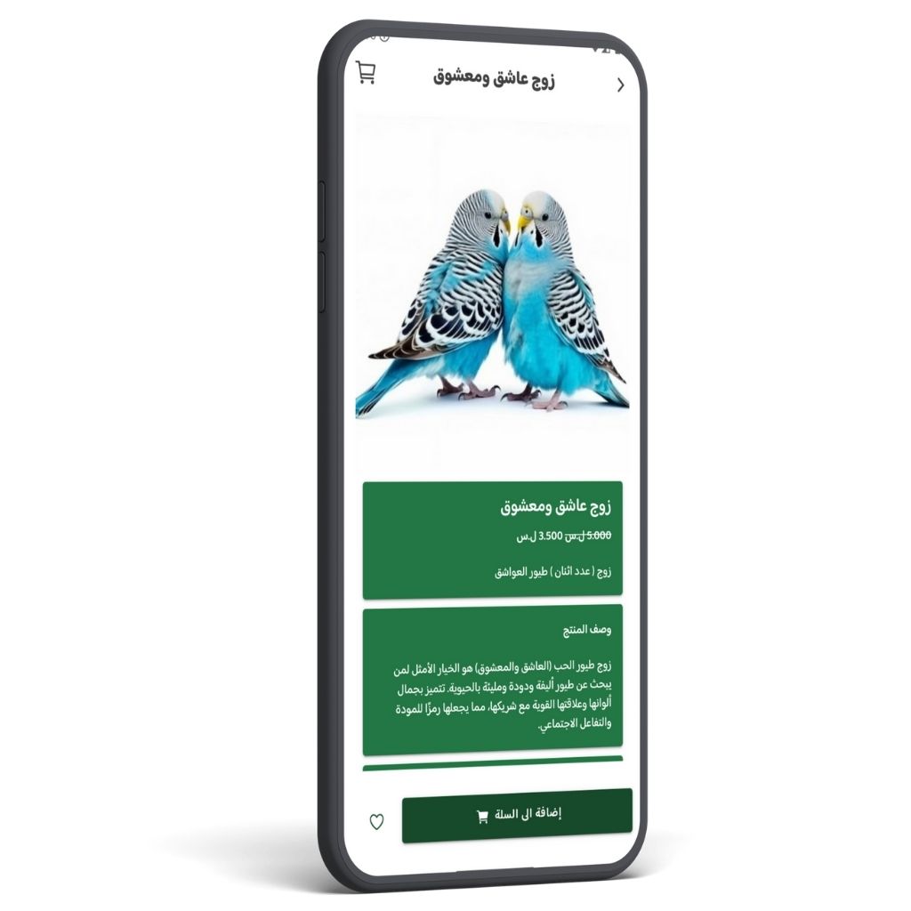 عروض حصرية وخصومات متجددة